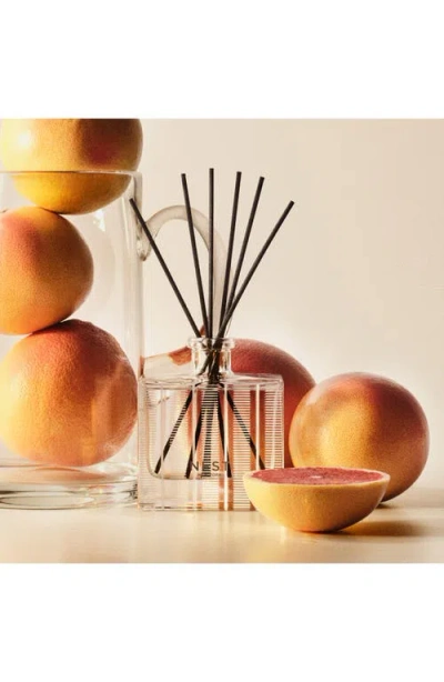 Nest New York Grapefruit Reed Diffuser In No Color