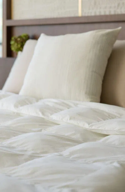 Cozy Earth Down Alternative Comforter In White