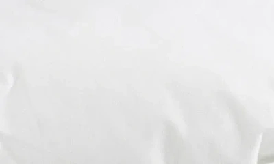 Cozy Earth Down Alternative Comforter In White