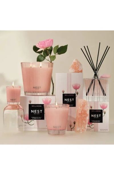 Nest New York 5.9oz Reed Diffuser In No Color