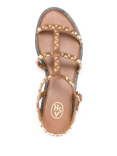 Ash Woman Sandals Brown Size 8 Leather In Brown