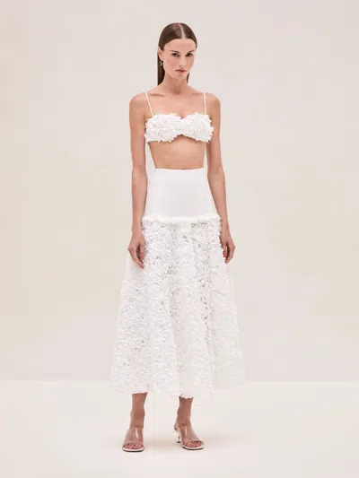 Alexis Risi Top In White