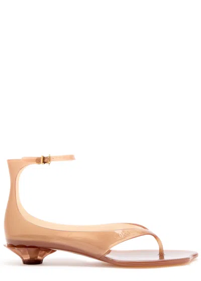 Chloé Jelly Brown Sandals With Logo Imprinted On The Side And Ankle Buckle Closure In Tpu Woman In Brown
