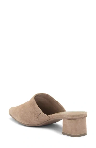 Splendid Lyn Suede Mule Heel In Ermine