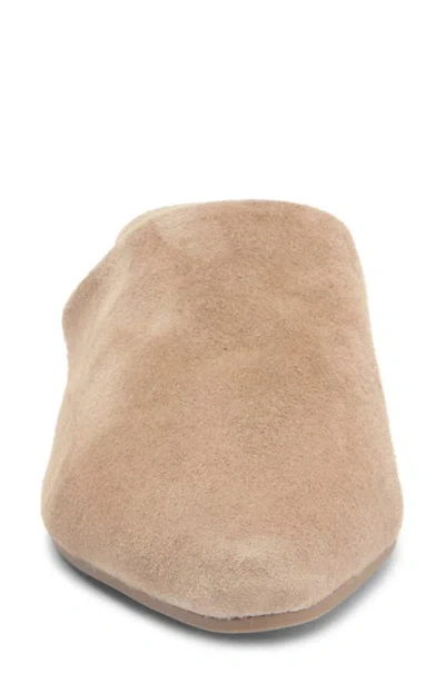 Splendid Lyn Suede Mule Heel In Ermine