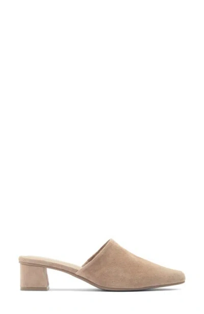 Splendid Lyn Suede Mule Heel In Ermine