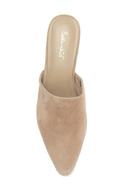 Splendid Lyn Suede Mule Heel In Ermine