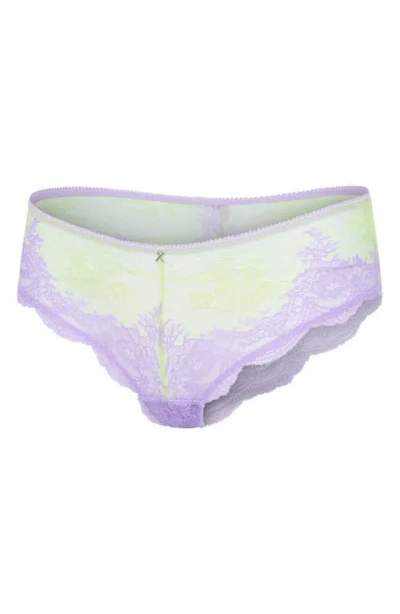 Savage X Fenty Lacestruck Hipster Briefs In Multi