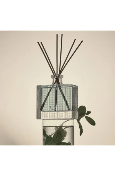 Nest New York Wild Mint & Eucalyptus Reed Diffuser In No Color