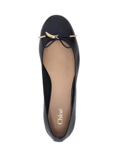 Chloé Bow Detail Round Toe Flat Sole Ballerina Shoes In Black