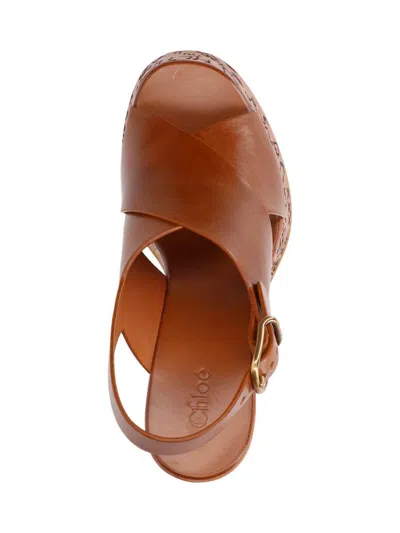 Chloé Maxime High Sandals Shoes In Brown