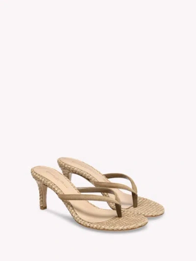 Gianvito Rossi Calypso Suede Raffia Thong Sandals Stiletto In Neutral