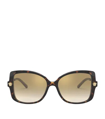 Versace Acetate Butterfly Sunglasses In Brown