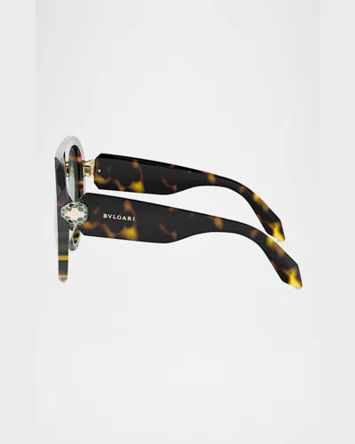Bvlgari Serpenti Forever Acetate Aviator Sunglasses In Havanaother Green