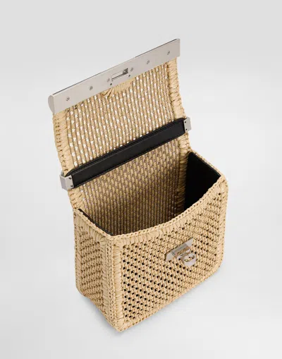 Dolce & Gabbana Rectangular Woven Top Handle Shoulder Bag In Multicolor
