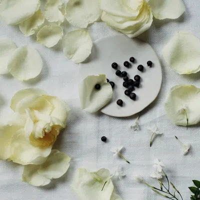 The White Company Blanc Diffuser 200ml