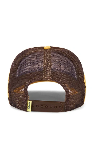 Duvin Design Please Do Not Disturb Trucker Hat In Brown