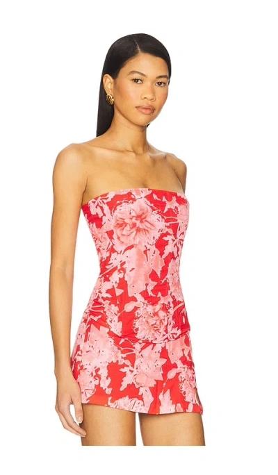 Miaou Libra Corset Siren Damask In Red