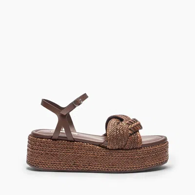 Casadei New Zeppa Odissea Hanoi Platform - Woman Wedges And Slides Rum 38 In Rum