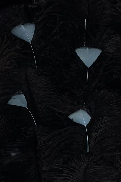 Prada Abito In Organza Decorata Donna In Black