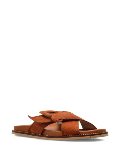 Sophia Webster Blair Slides In Brown