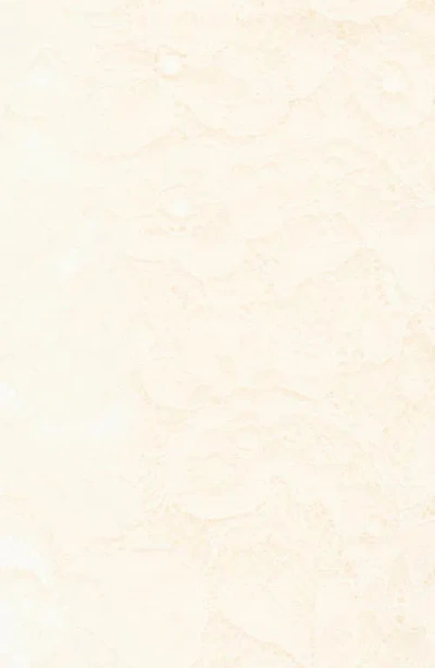 Valentino Garavani Floral Lace Knee High Socks In Betulla