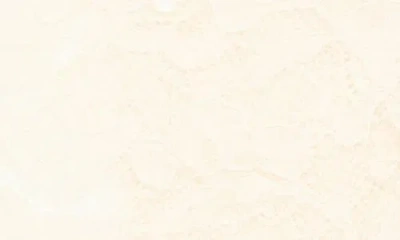 Valentino Garavani Floral Lace Knee High Socks In Betulla