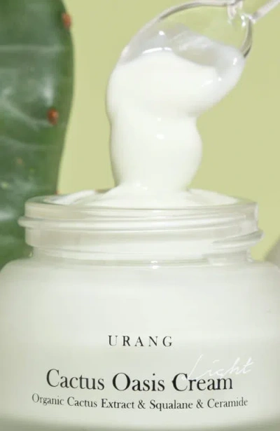 Urang Cactus Oasis Cream