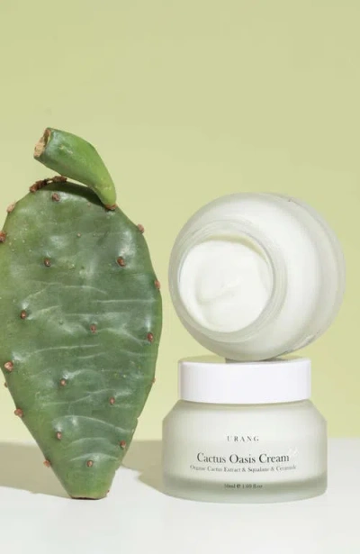Urang Cactus Oasis Cream