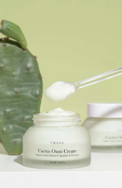 Urang Cactus Oasis Cream