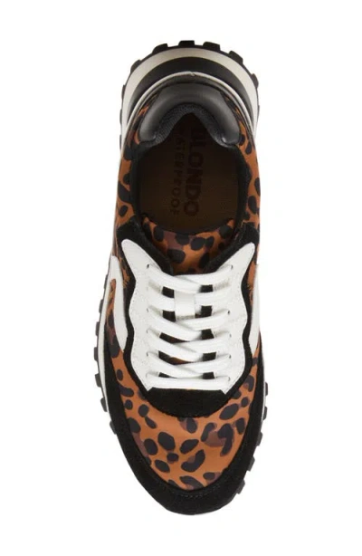 Blondo Lois Retro Waterproof Running Sneaker In Brown