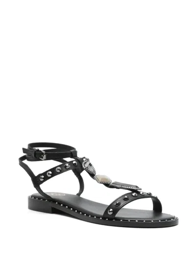 Ash Black Calf Sandals With Studs In Black