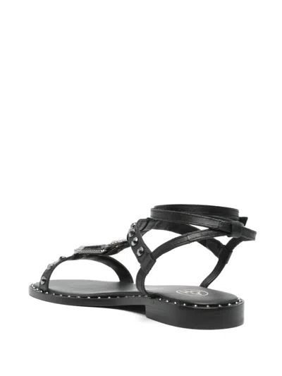 Ash Black Calf Sandals With Studs In Black