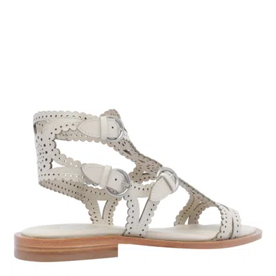 Ash Paprika Talc Flat Sandal In White