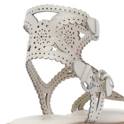 Ash Paprika Talc Flat Sandal In White