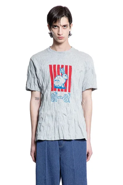 Bottega Veneta Men Grey Crewneck T-shirt With Maxi Print On The Front And Wrinkled Ffect In Cotton M In Gray