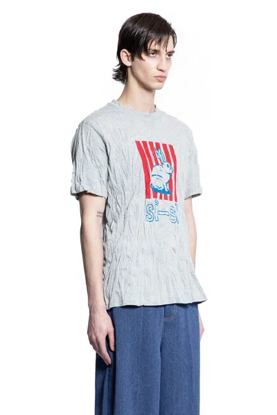 Bottega Veneta Men Grey Crewneck T-shirt With Maxi Print On The Front And Wrinkled Ffect In Cotton M In Gray