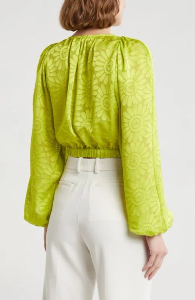 Ramy Brook Briana Plunge Neck Tie Front Top In Lime Daisy Burnout In Lime Daisy Burnout