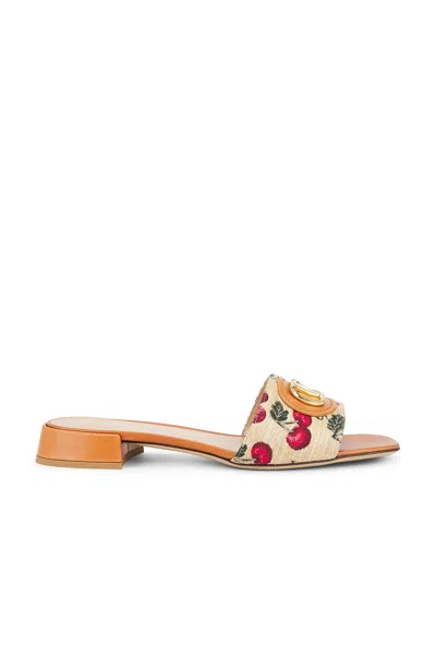 Valentino Slide Sandal "vlogo Signature" In Multi