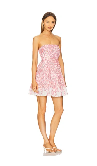 Poupette St Barth Christine Floral Cotton-blend Minidress In Pink