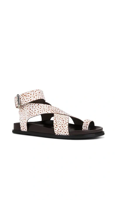 Jeffrey Campbell Hvar Sandals In Multi