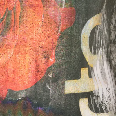 Roberto Cavalli Silk Shirt With Roses And Snakes Print In Red