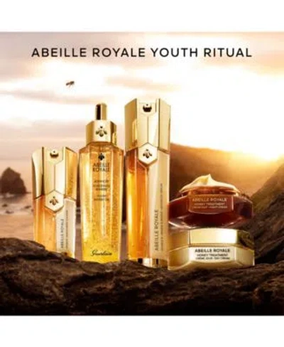 Guerlain Abeille Royale Royal Honey Rich Day Face Cream Refill 50ml In N,a