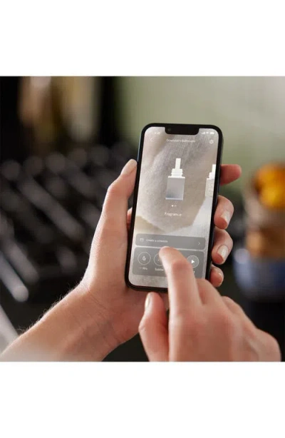 Pura Unify 2-pack Smart Fragrance Diffuser Refills In Noel