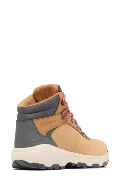 Columbia Newton Wander™ Waterproof Hiking Boot In Multi