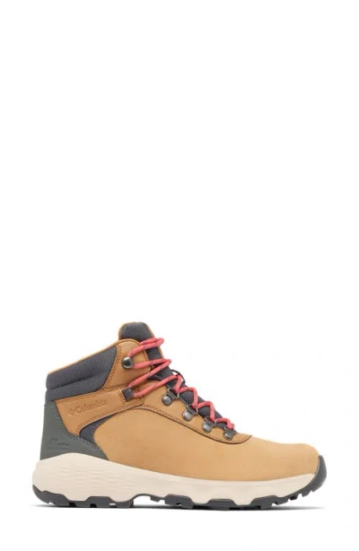 Columbia Newton Wander™ Waterproof Hiking Boot In Multi