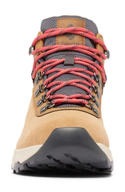 Columbia Newton Wander™ Waterproof Hiking Boot In Multi