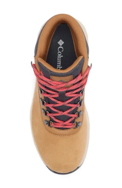 Columbia Newton Wander™ Waterproof Hiking Boot In Multi