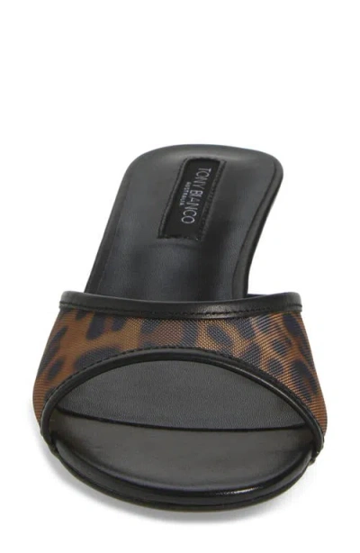 Tony Bianco Pru Kitten Heel Slide Sandal In Leopard Nylon