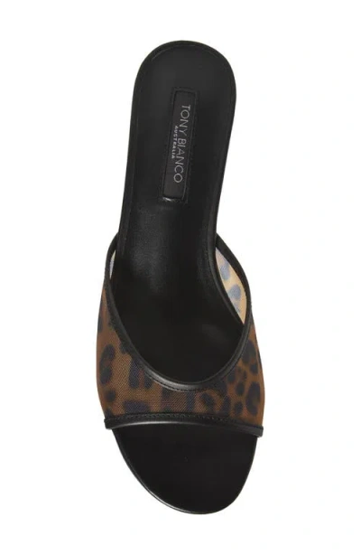 Tony Bianco Pru Kitten Heel Slide Sandal In Leopard Nylon